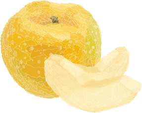 もぎたて果実のアトリエ｜福岡県久留米市にあるフルーツのアトリエ「フルトリエ」