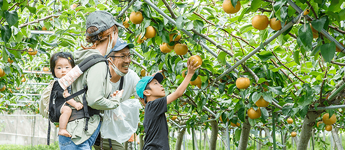 現在おすすめのサービス｜福岡県久留米市にあるフルーツのアトリエ「フルトリエ」